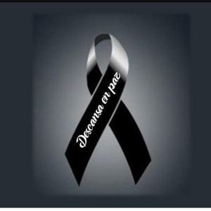 Meet your Posher, Lucy